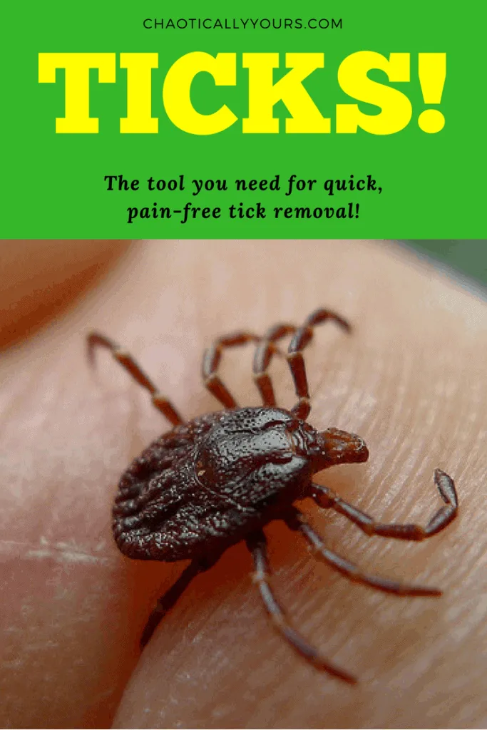 easy tick removal