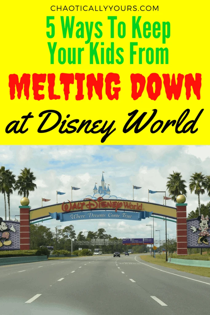Keep everyone happy with these tips for your Disney Vacation. 