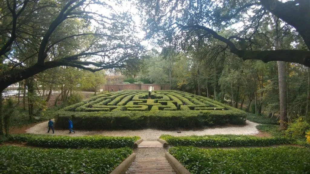 Colonial Williamsburg: The hedge maze behind the governor's palace