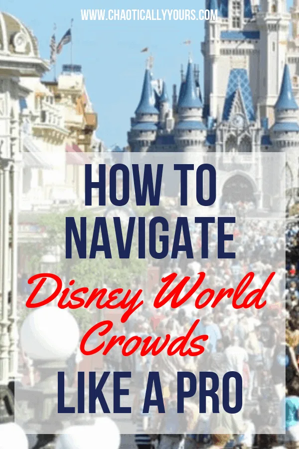 Disney World Crowds: How to manage them like a professional! #disney #disneyworld