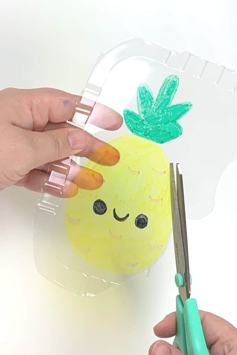 Plastic visual data 8