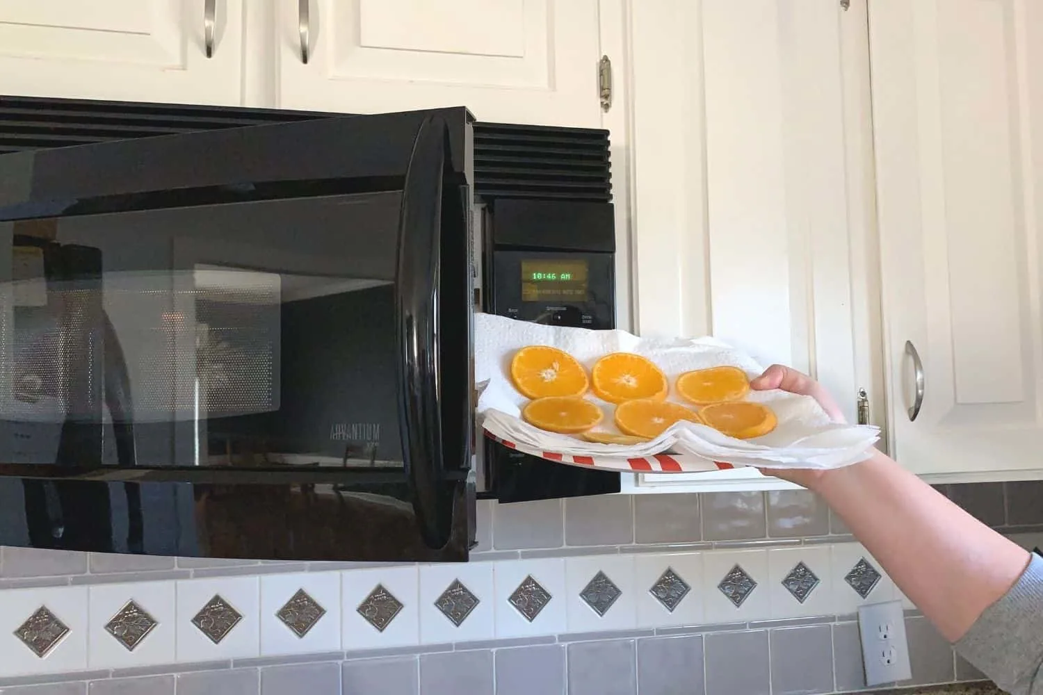 putting oranges slices in the microwave