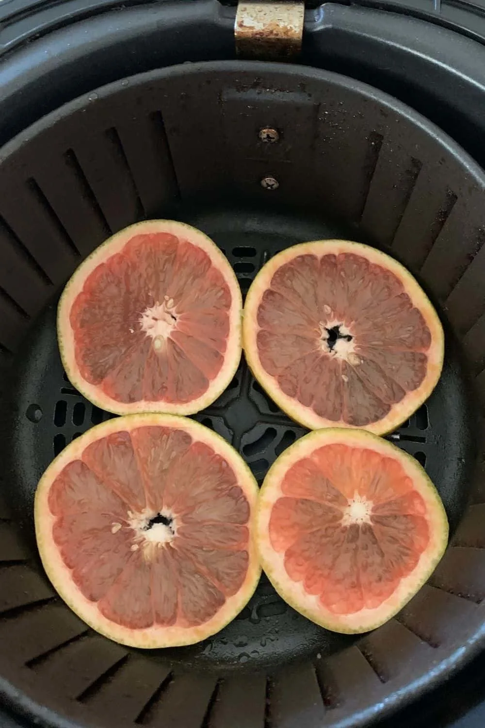 Dehydrated Orange Slices (In The Oven) · Chef Not Required