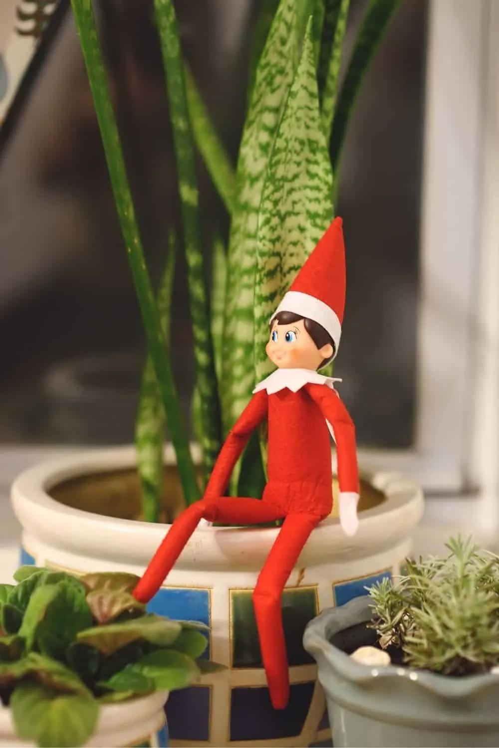 Elf on the Shelf sitting in a potted plant