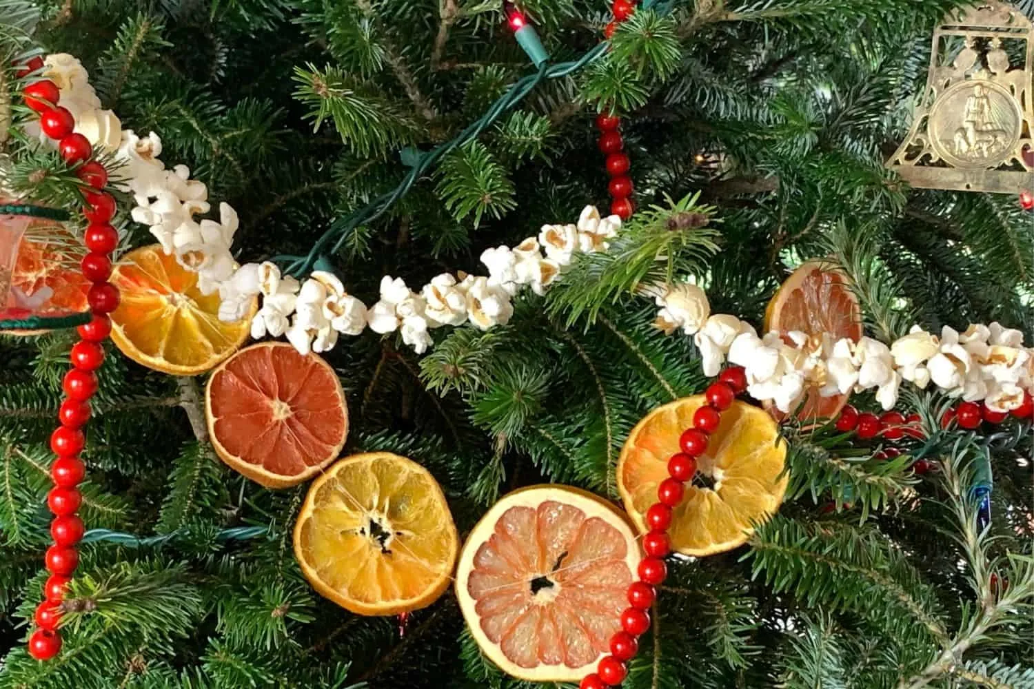 finished popcorn string hung on a christmas tree