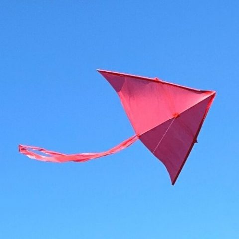 Self-Launching Kites : kite toys