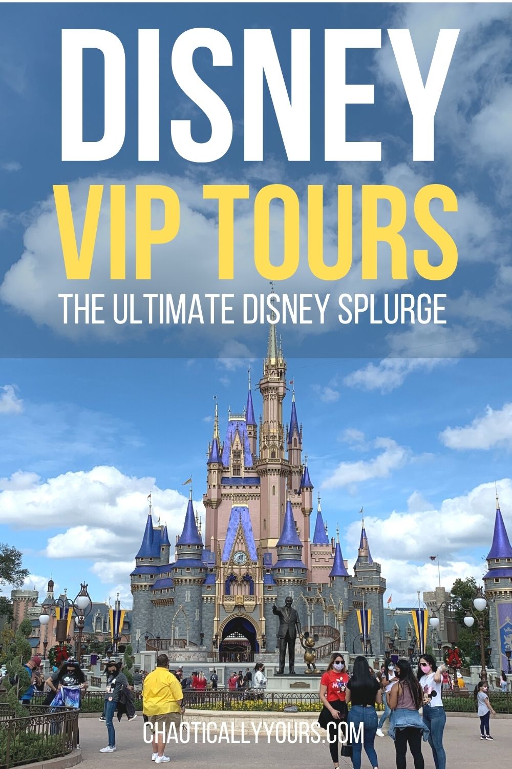 what do disney vip tours include