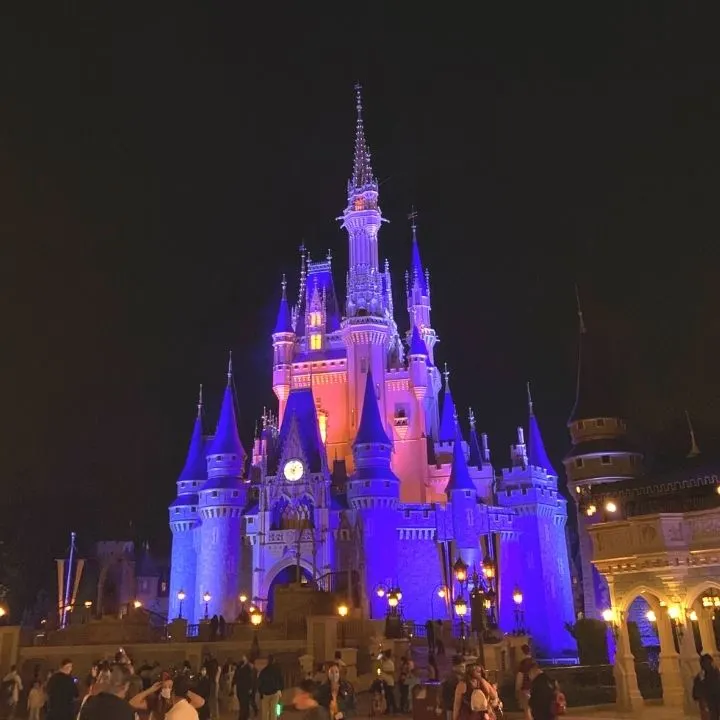 Nighttime at the Magic Kingdom