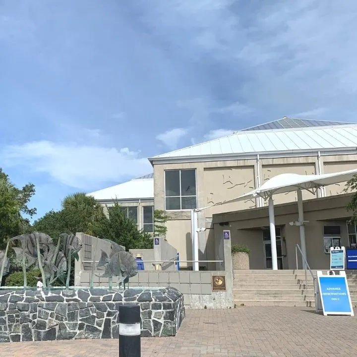 Fort Fisher Aquarium
