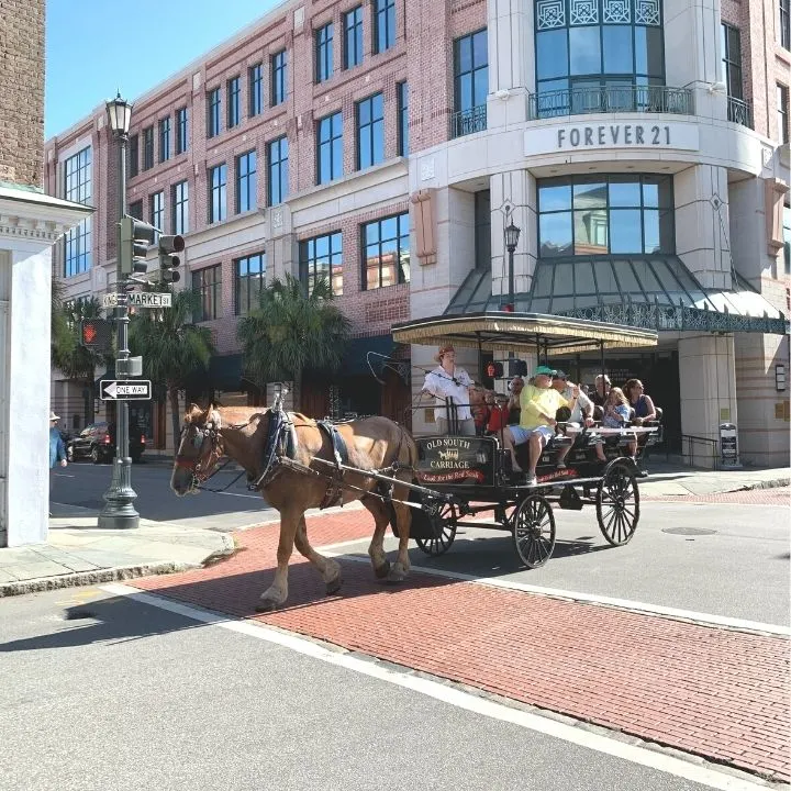 A carriage tour through Charleston, SC