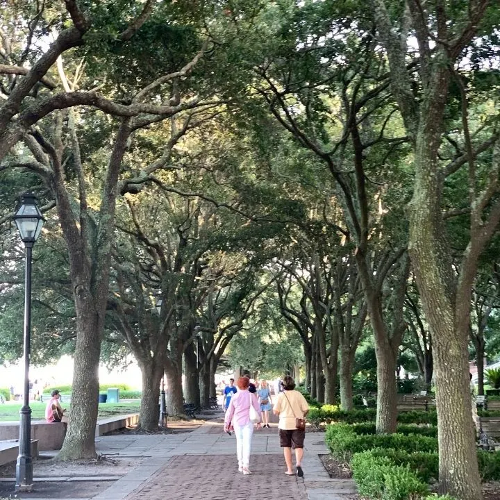 Waterfront Park in Charleston, SC