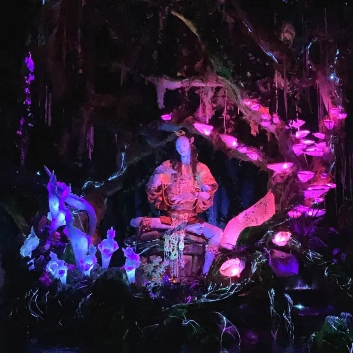 Na'vi River Journey at Animal Kingdom