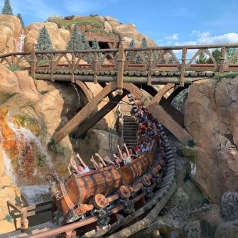 The Most Overrated Rides at Walt Disney World (and What To Ride Instead ...