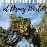 Single Rider LIne pin image