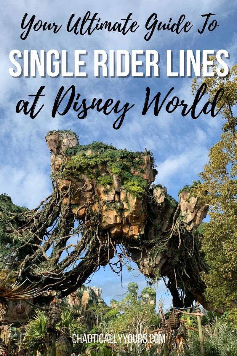 single-rider-lines-at-disney-world-the-ultimate-guide-chaotically-yours