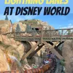 Seven Dwarfs Mine Train at Walt Disney World