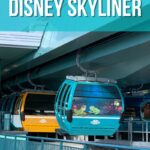 Disney Skyliner Pin Image
