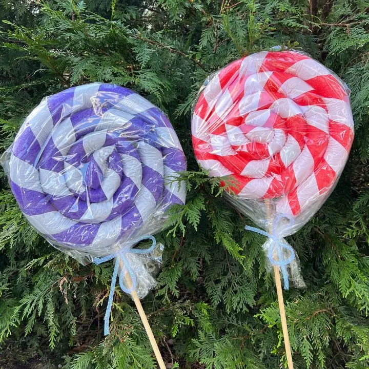 Pool Noodle Lollipops