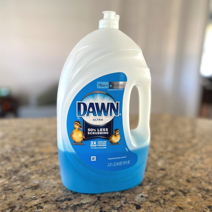 a large bottle of Dawn Dish Soap
