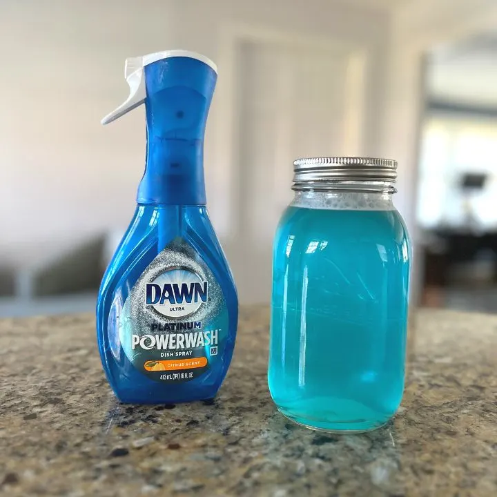 DIY Dawn Powerwash Chaotically Yours