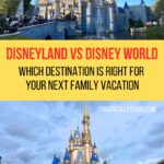 Disneyland vs Disney World pin image
